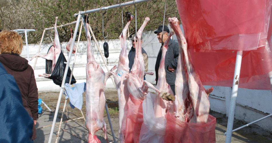 DSVSA Olt a avizat temporar alte două centre de sacrificare a mielor: În târgul din Caracal şi piaţa din Drăgăneşti-Olt DSVSA Olt a avizat temporar alte două centre de sacrificare a mielor: În târgul din Caracal şi piaţa din Drăgăneşti-Olt