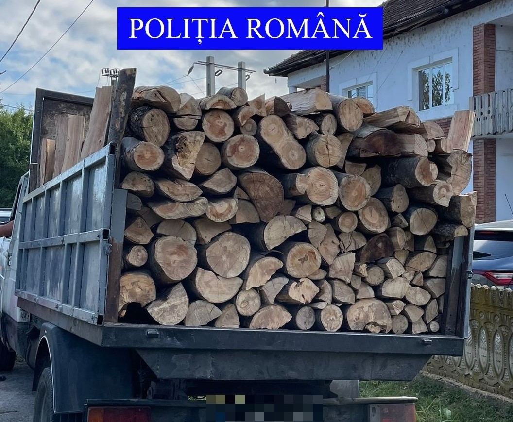 Piatra-Olt: Amendat de două ori într-o zi pentru transport ilegal de material lemnos Piatra-Olt: Amendat de două ori într-o zi pentru transport ilegal de material lemnos