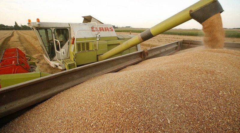 Mii de kg de cereale confiscate în Corabia. Doi bărbaţi s-au ales cu dosare penale