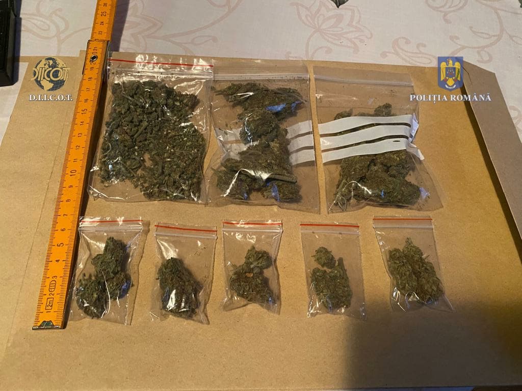Traficanţi de droguri, prinşi în flagrant în timp ce vindeau cannabis în Slatina Traficanţi de droguri, prinşi în flagrant în timp ce vindeau cannabis în Slatina