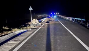 accident mortal dolj