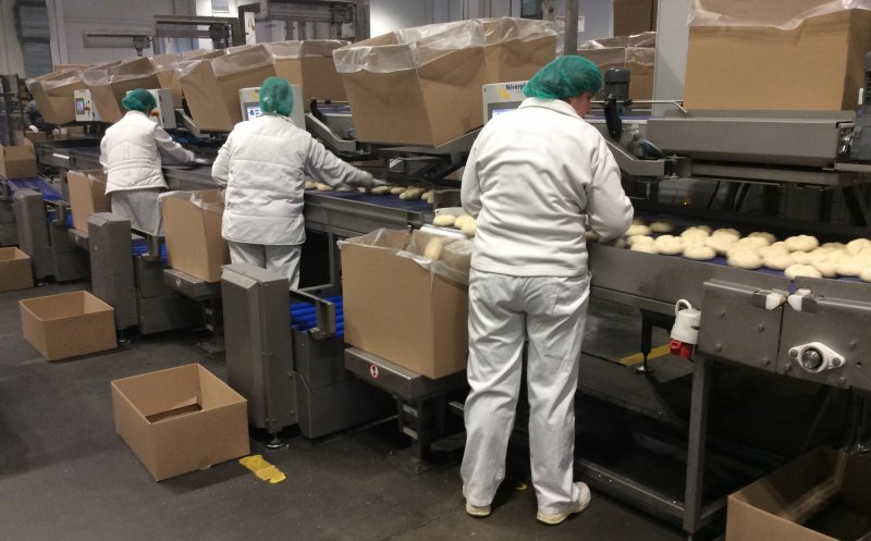 O fabrică de pâine, din Caracal, amendată cu 20.000 de lei pentru munca la negru