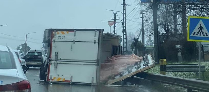 VIDEO. Autoutilitară, încărcată cu carcase de porc, răsturnată pe o stradă din Craiova VIDEO. Autoutilitară, încărcată cu carcase de porc, răsturnată pe o stradă din Craiova
