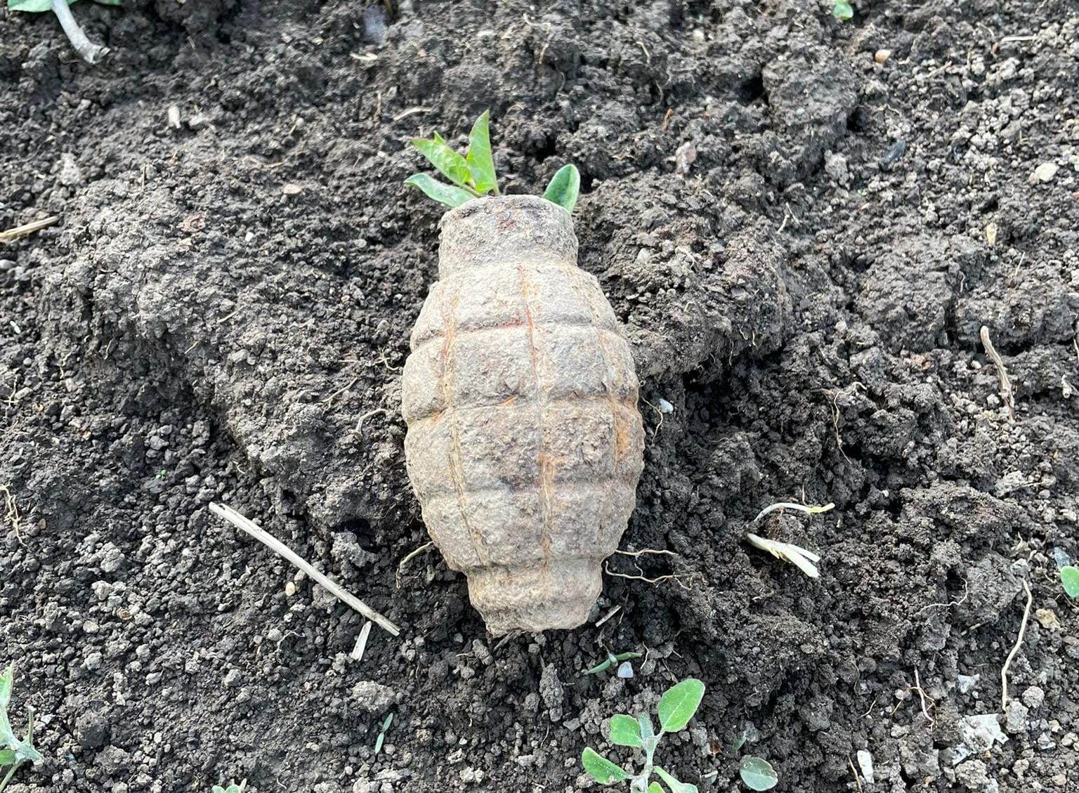 Grenadă din Al Doilea Război Mondial descoperită într-o grădină din Coteana Grenadă din Al Doilea Război Mondial descoperită într-o grădină din Coteana