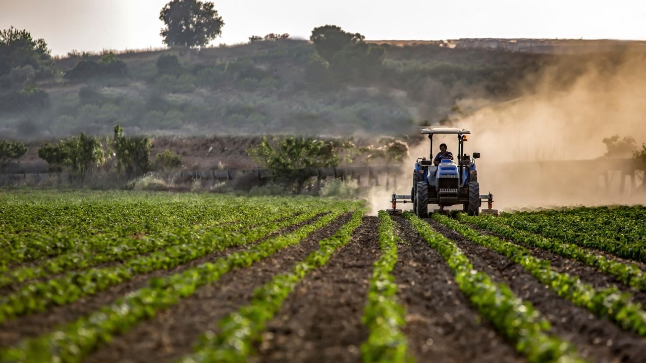 APIA va plăti, până pe 30 noiembrie, avansul pe suprafaţă. Aproximativ 4.000 de fermieri din Olt intră în procedura de plată APIA va plăti, până pe 30 noiembrie, avansul pe suprafaţă. Aproximativ 4.000 de fermieri din Olt intră în procedura de plată