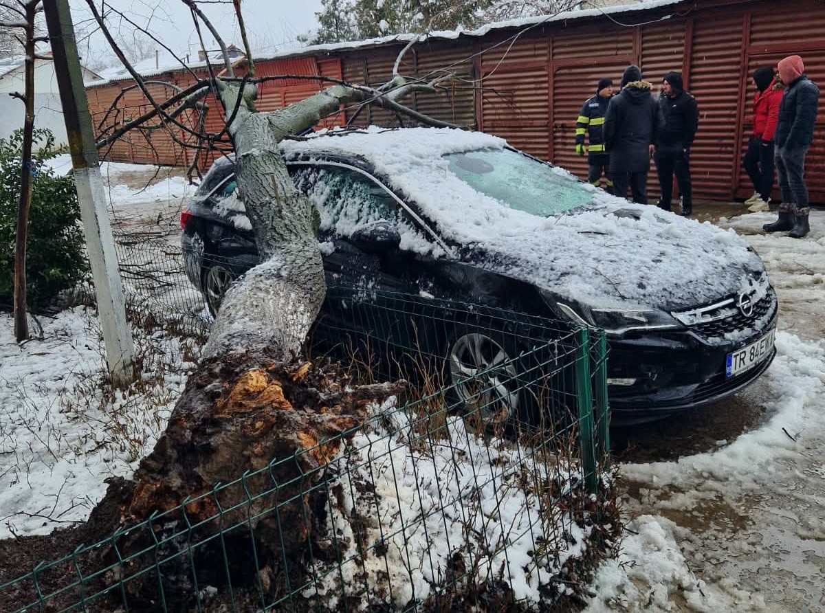 Vremea severă a provocat pagube şi în Teleorman: copaci căzuți, mașini avariate și localități fără curent electric Vremea severă a provocat pagube şi în Teleorman: copaci căzuți, mașini avariate și localități fără curent electric