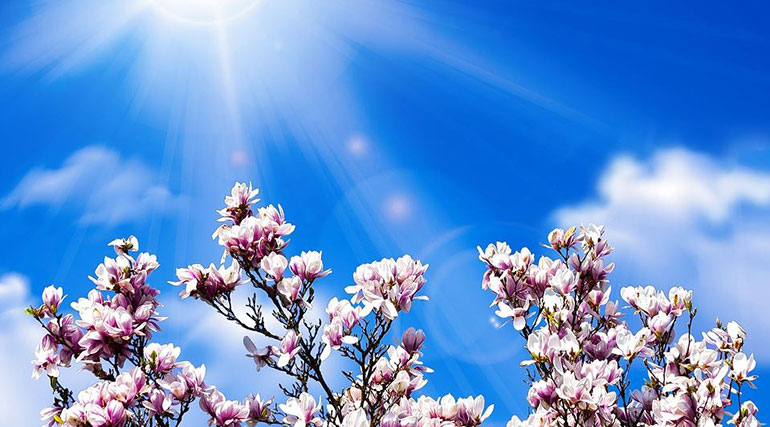 Primele zile de primăvară aduc temperaturi peste normalul perioadei, potrivit prognozei meteo Primele zile de primăvară aduc temperaturi peste normalul perioadei, potrivit prognozei meteo