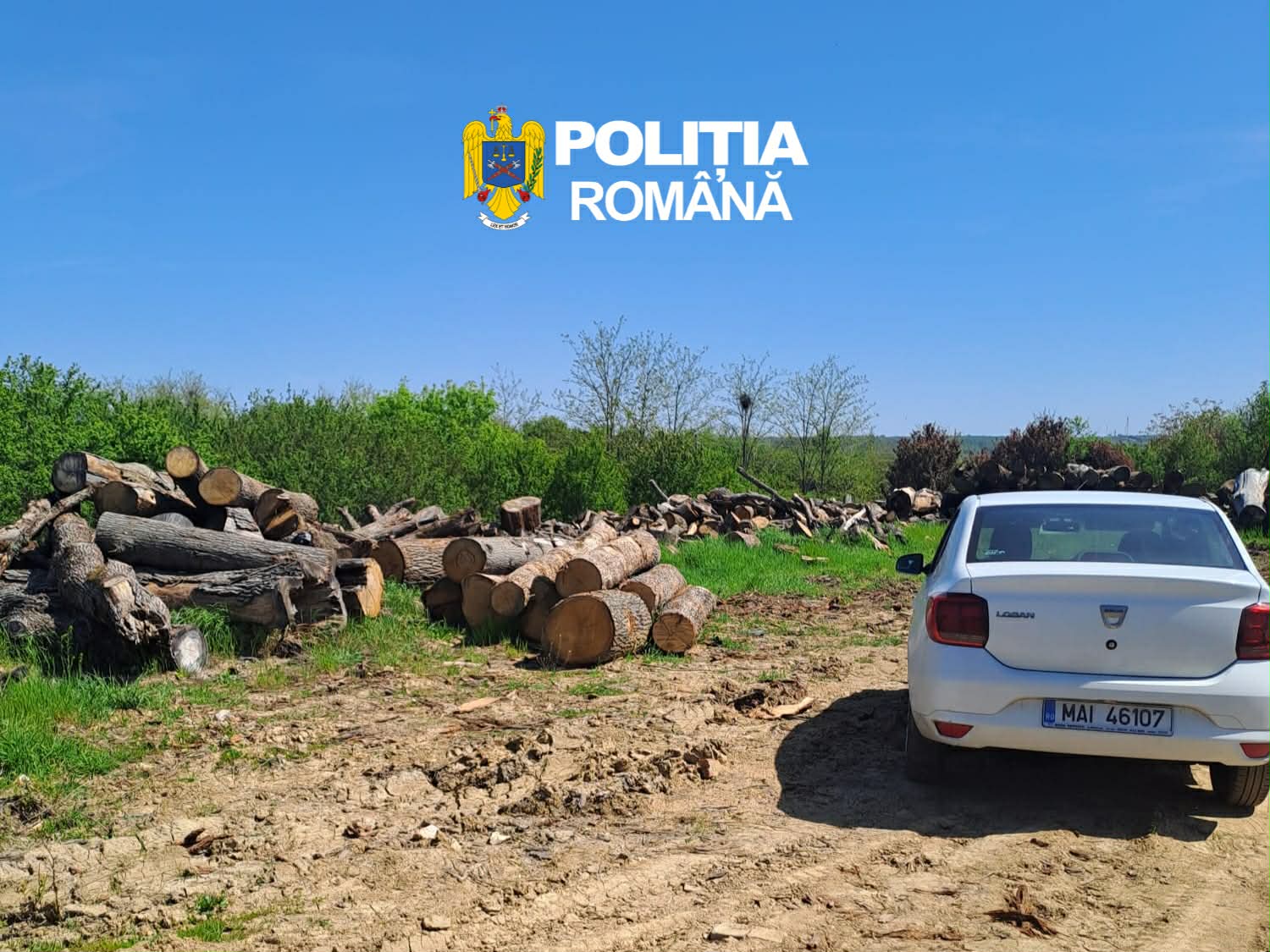 Verificări în domeniul silvic: nereguli la două societăți comerciale din Olt Verificări în domeniul silvic: nereguli la două societăți comerciale din Olt