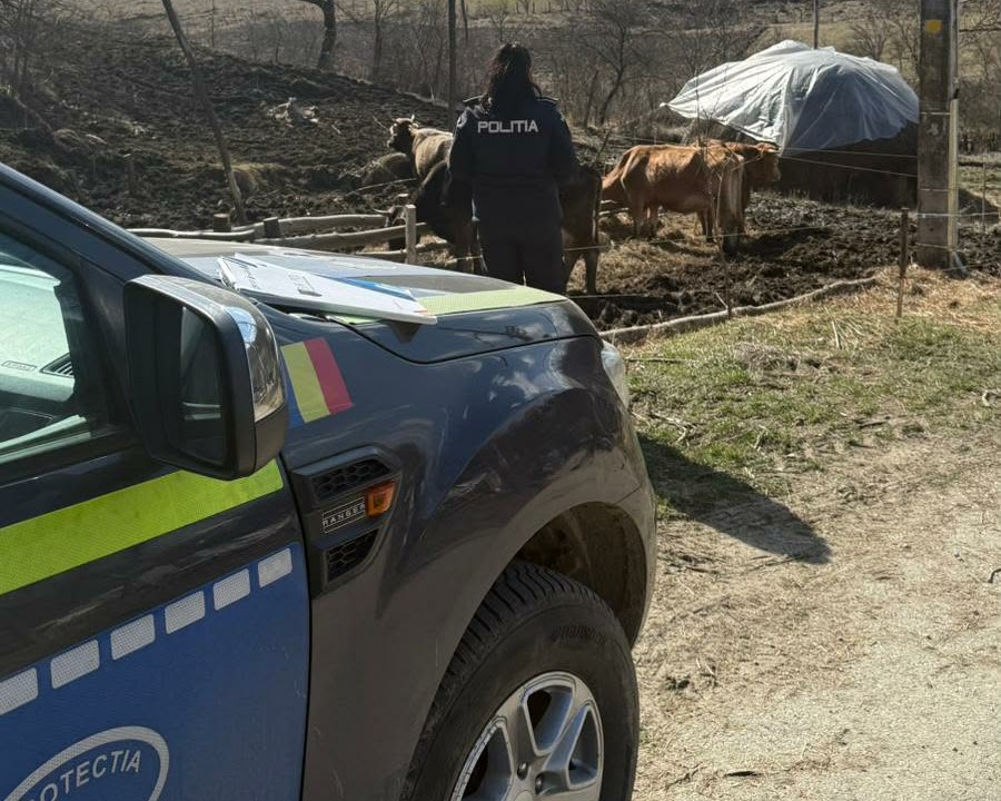 Amenzi de peste 12.000 de lei aplicate de polițiștii din Vâlcea proprietarilor de animale Amenzi de peste 12.000 de lei aplicate de polițiștii din Vâlcea proprietarilor de animale