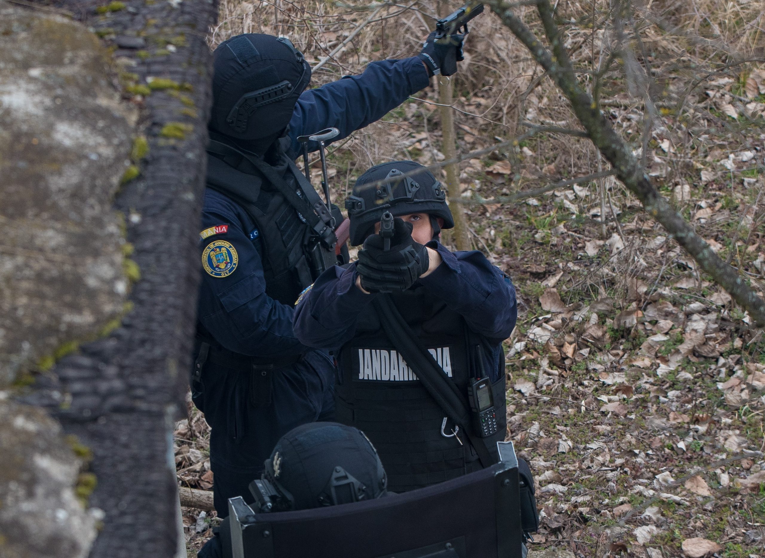 850 de locuri disponibile în școlile militare de subofițeri jandarmi.  Jandarmeria Olt anunţă înscrierea pentru sesiunea septembrie-decembrie 2026