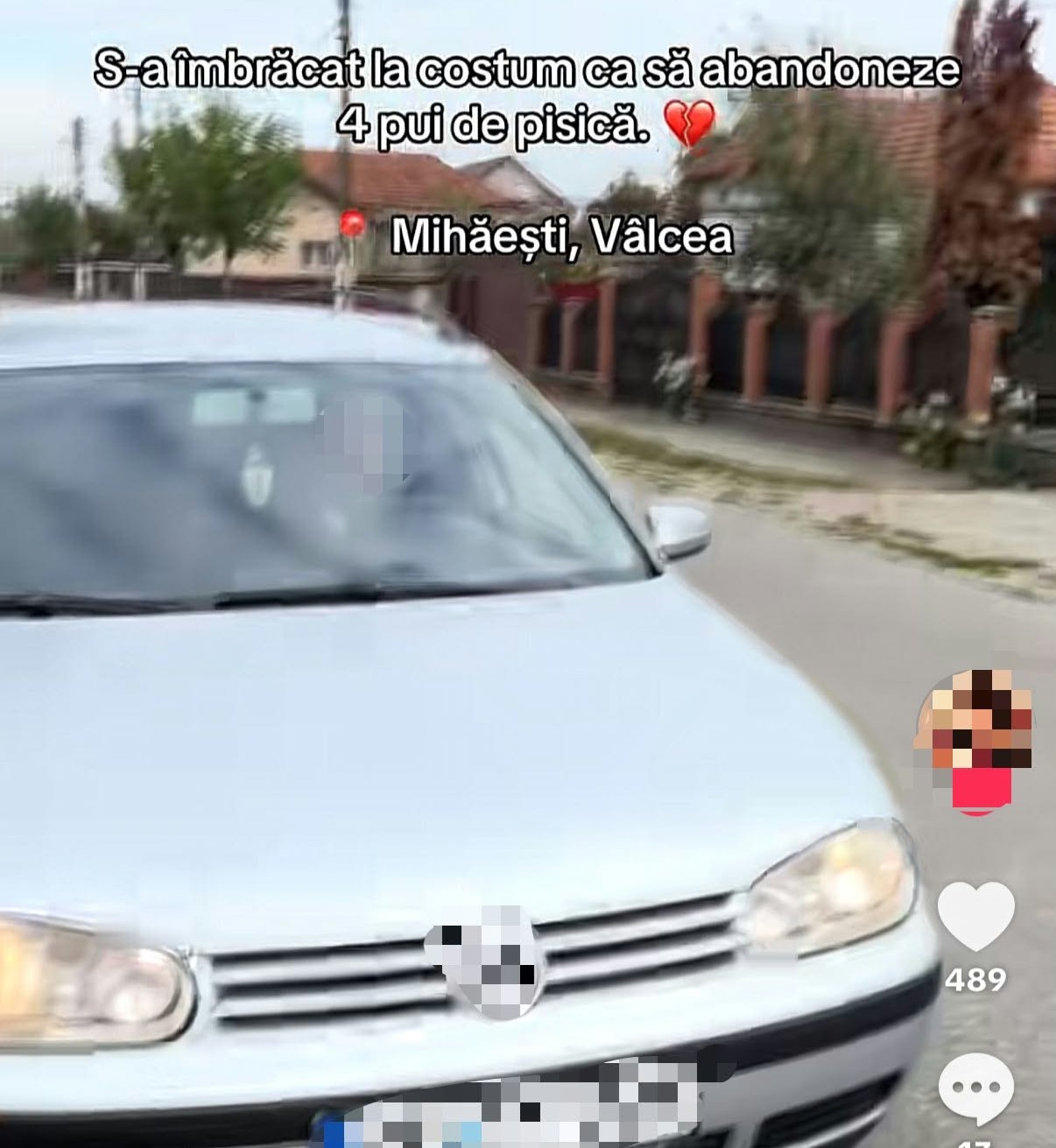 Amendat cu 12.000 de lei după ce a abandonat patru pui de pisică
