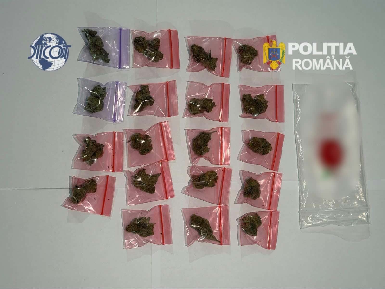 Tânăr de 28 de ani, prins în Craiova cu droguri pregătite pentru vânzare Tânăr de 28 de ani, prins în Craiova cu droguri pregătite pentru vânzare