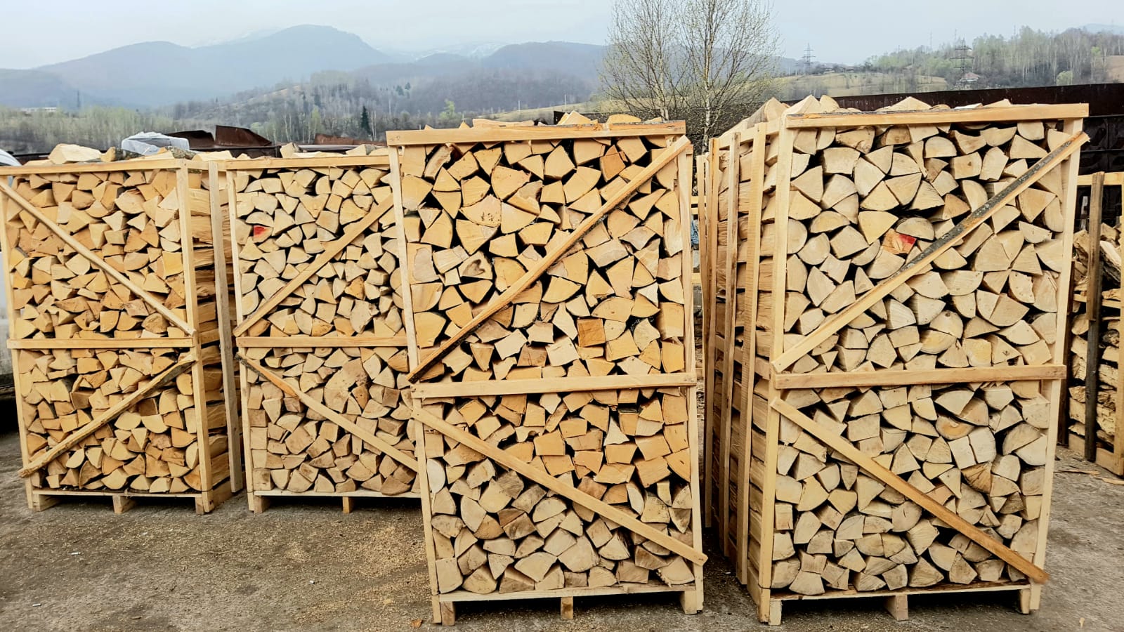 Lemnele de foc, la prețuri similare cu cele de anul trecut. Cât costă metrul cub în 2026